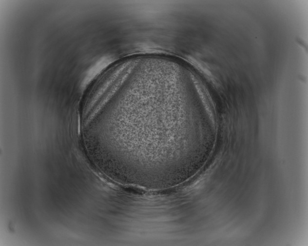 X0000097501269200803071754