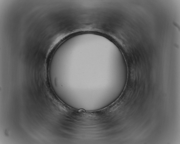 X0000097501270200803071754