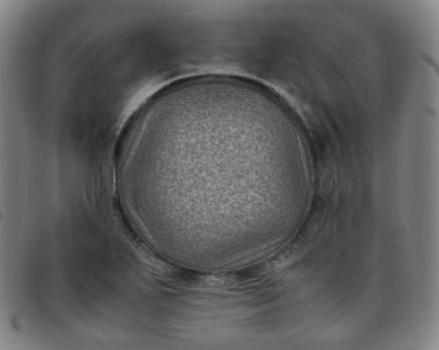 X0000097501271200803071754