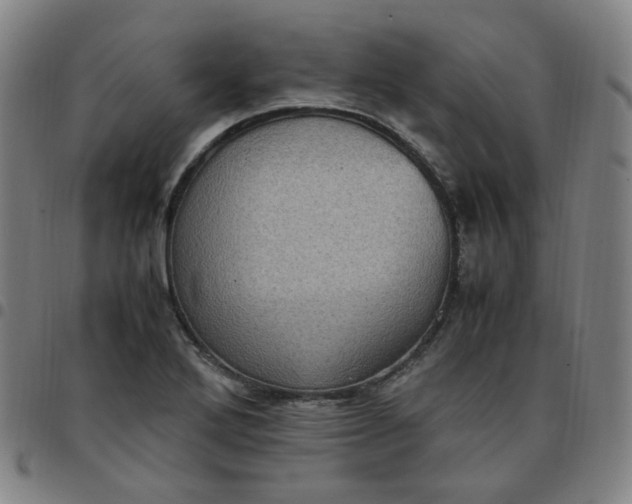 X0000097501272200803071754
