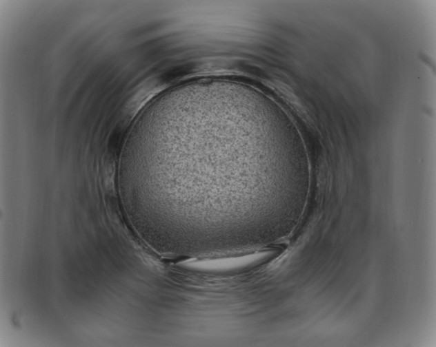 X0000097501273200803071754