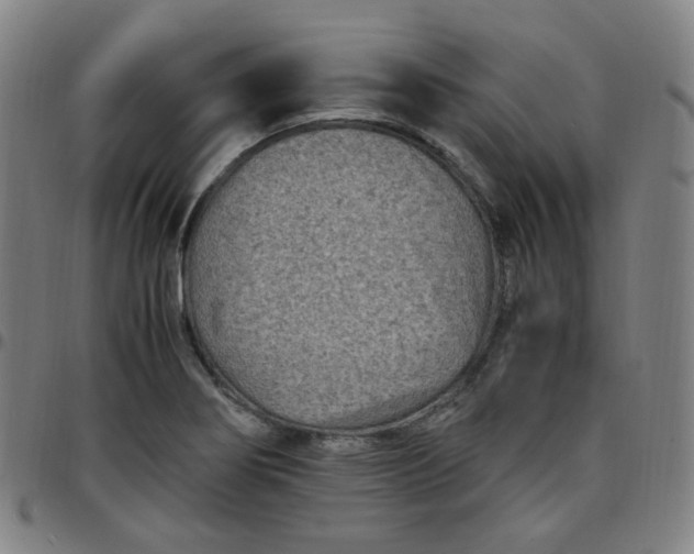 X0000097501274200803071754