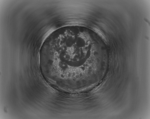 X0000097501275200803071754