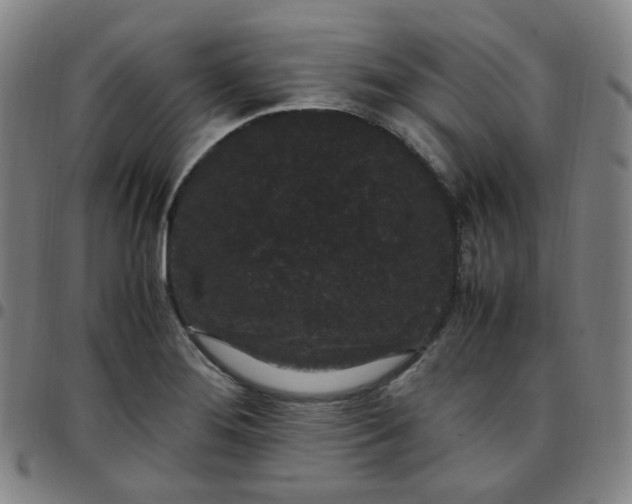 X0000097501276200803071754