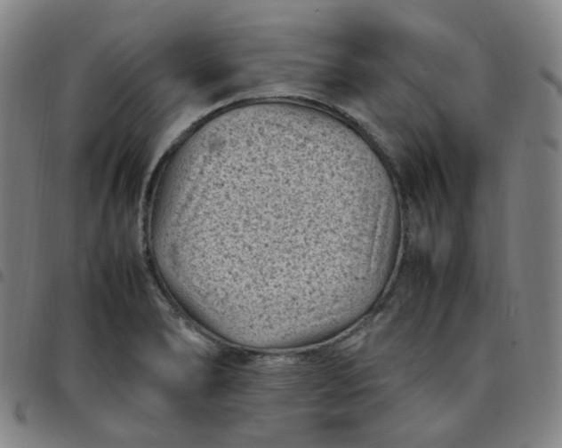 X0000097501278200803071753