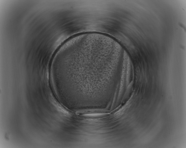 X0000097501280200803071753