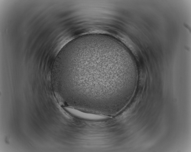 X0000097501281200803071753