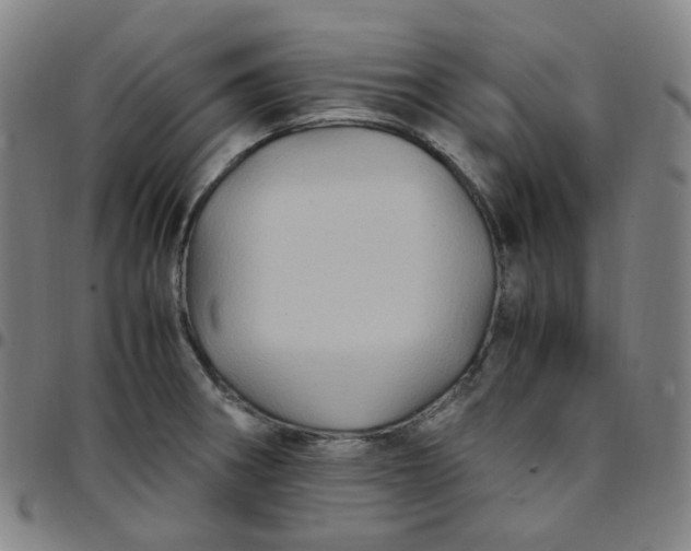 X0000097501282200803071753
