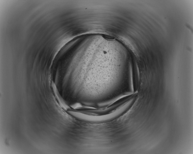 X0000097501284200803071753