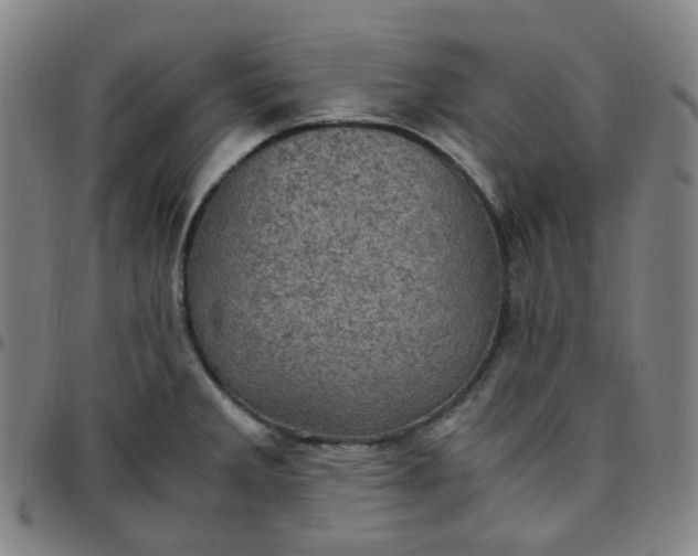 X0000097501285200803071753