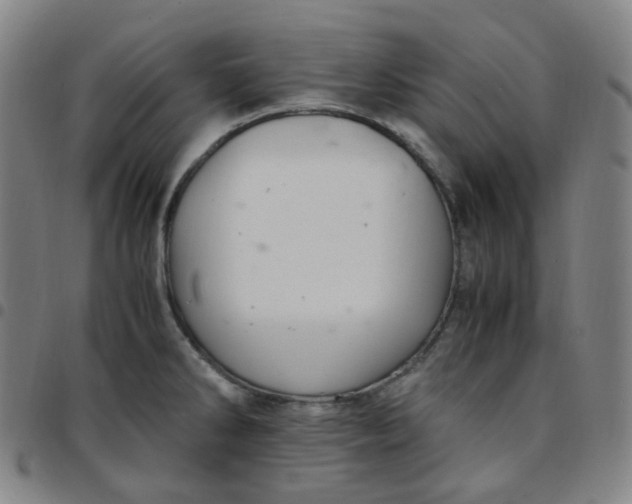 X0000097501286200803071753