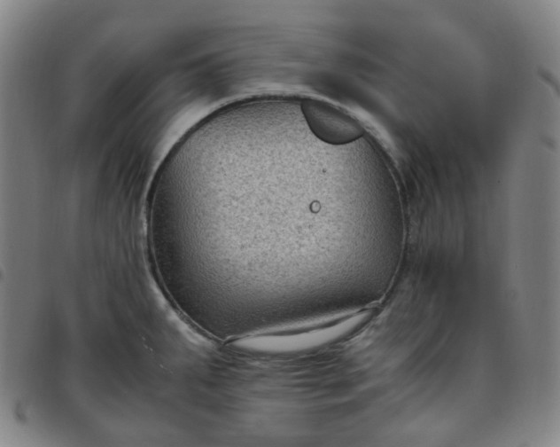 X0000097501287200803071753