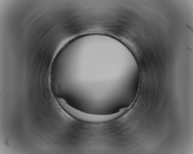 X0000097501288200803071753