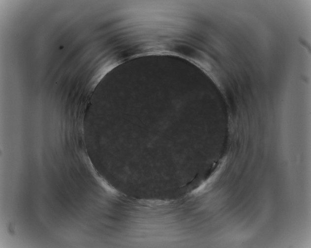 X0000097501289200803071753