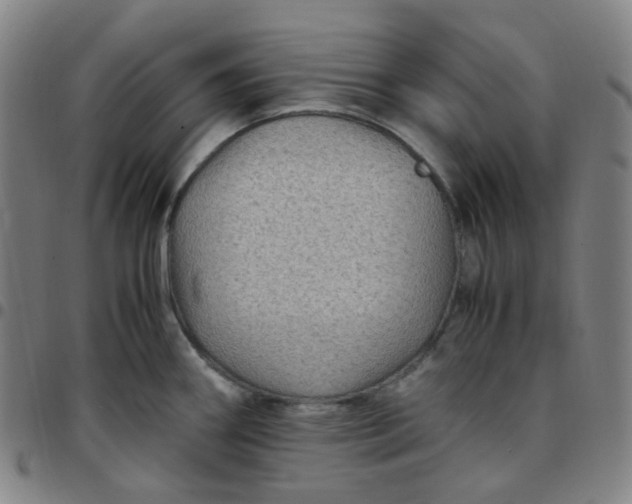 X0000097501290200803071753