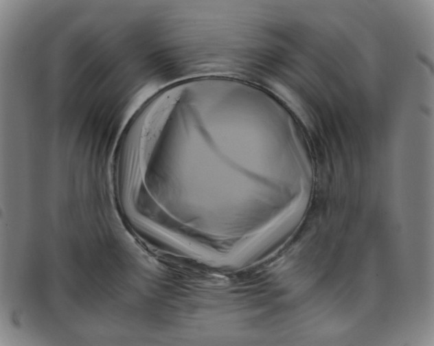 X0000097501291200803071753