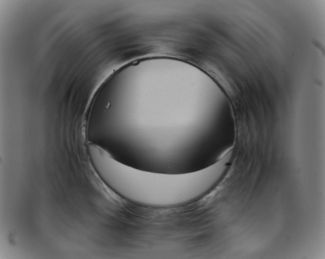 X0000097501292200803071753