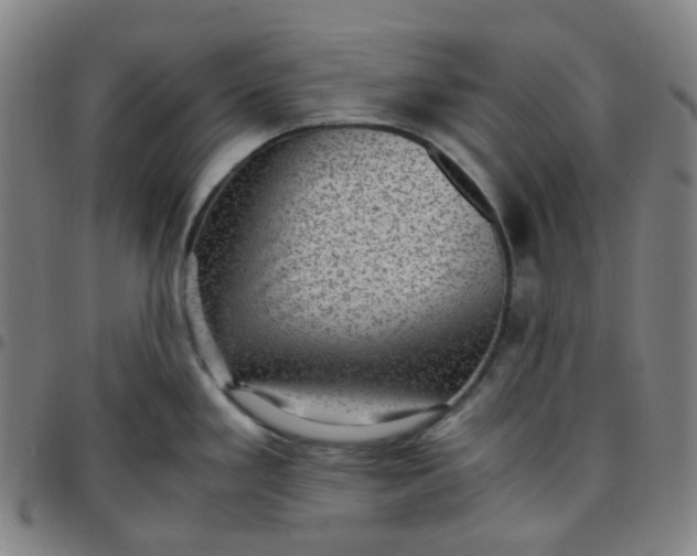 X0000097501293200803071753
