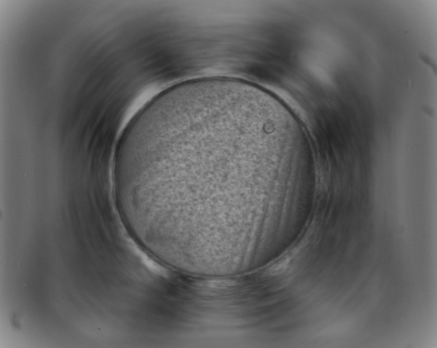 X0000097501294200803071753