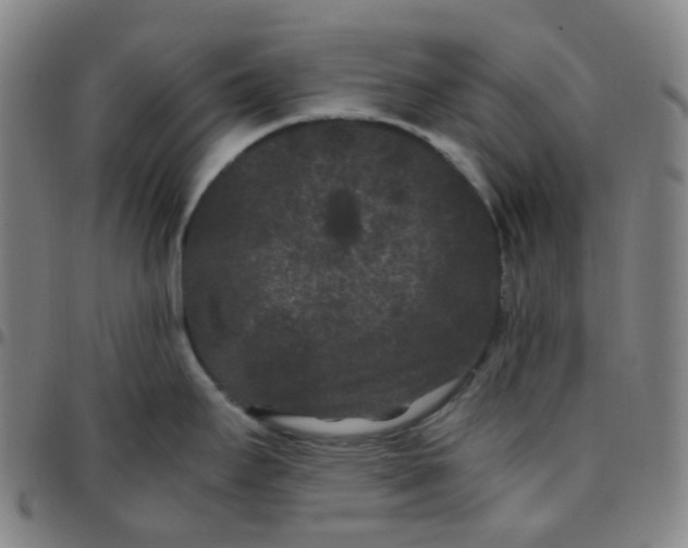 X0000097501295200803071753