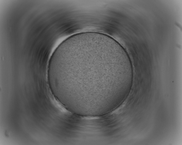 X0000097501296200803071753