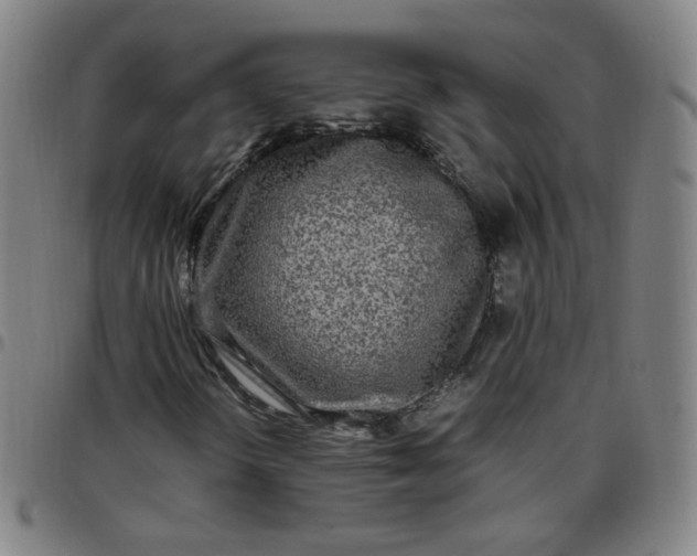 X0000097501298200803071752