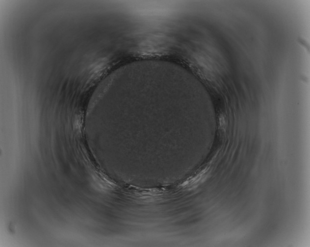 X0000097501300200803071752