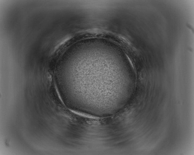 X0000097501302200803071753