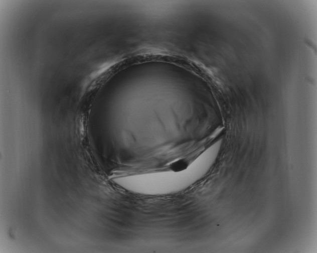 X0000097501303200803071753