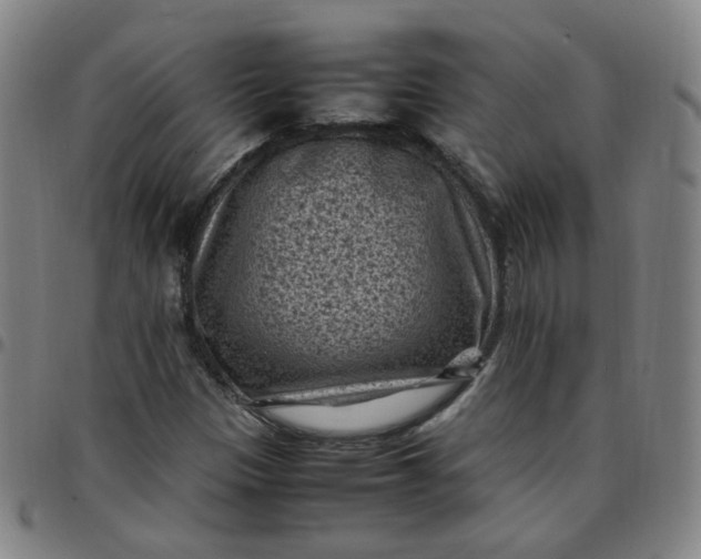 X0000097501305200803071753