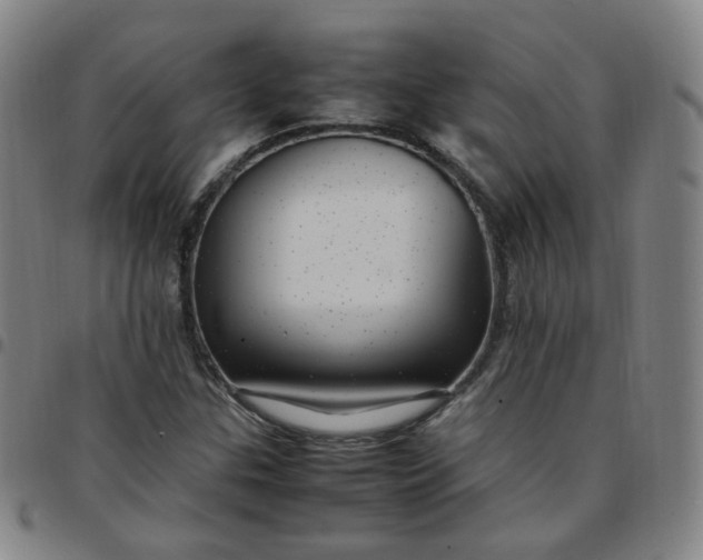 X0000097501307200803071753