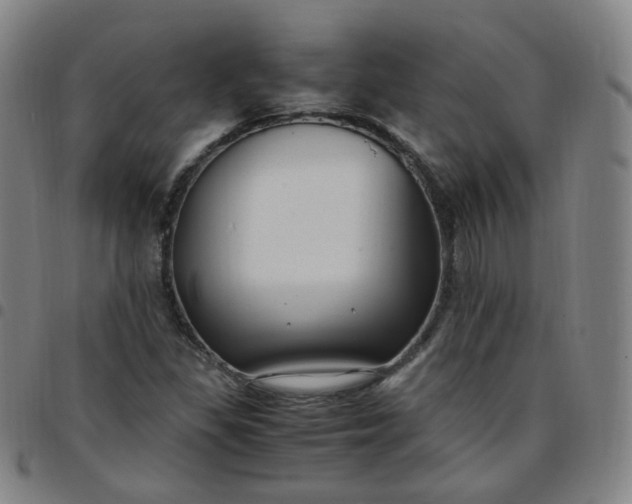 X0000097501309200803071753