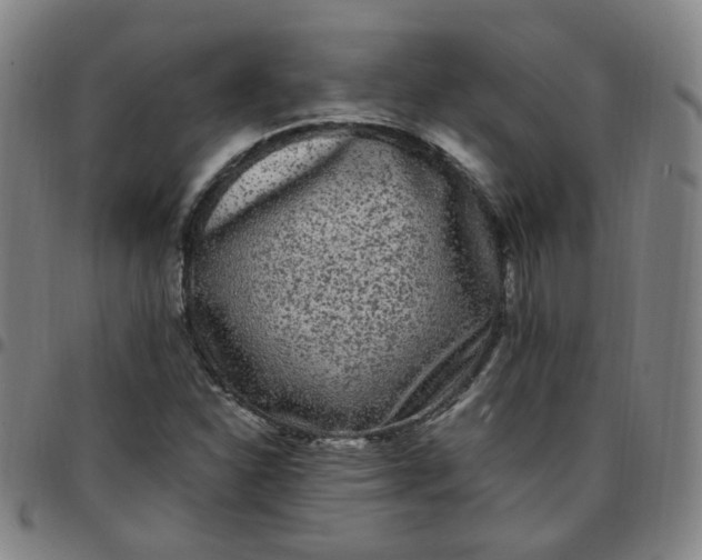 X0000097501310200803071753