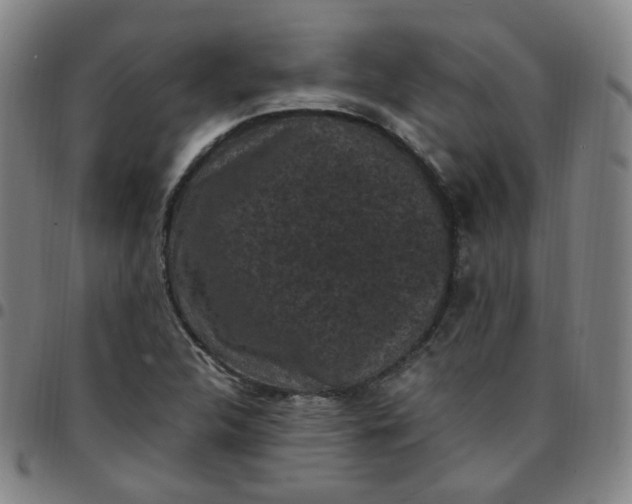 X0000097501312200803071753