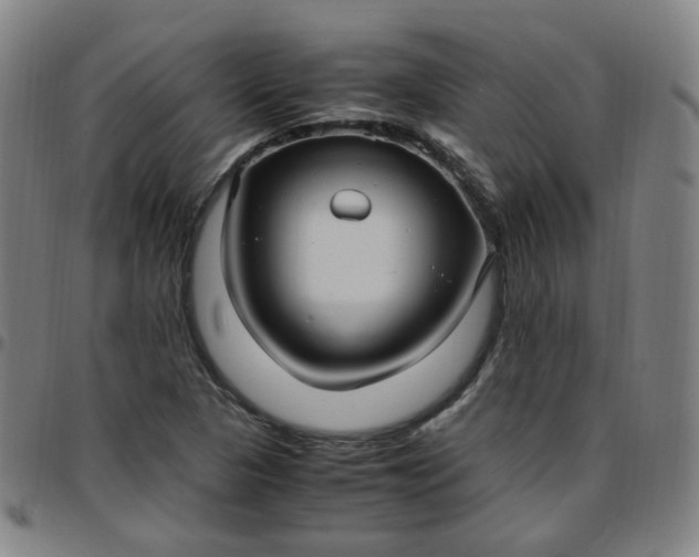 X0000097501313200803071753