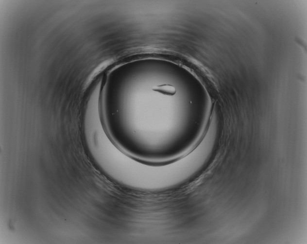 X0000097501314200803071753