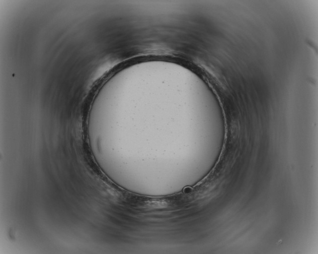 X0000097501315200803071753