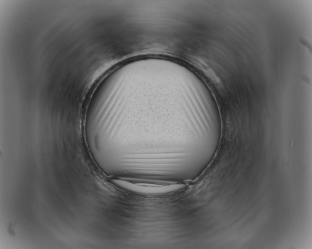 X0000097501316200803071753