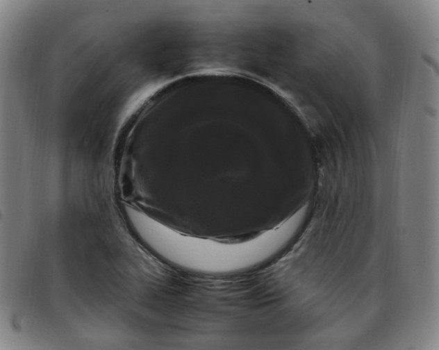 X0000097501319200803071753
