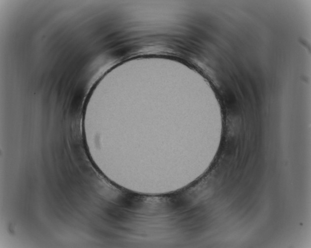 X0000097501322200803071753