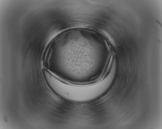 X0000097501324200803071753