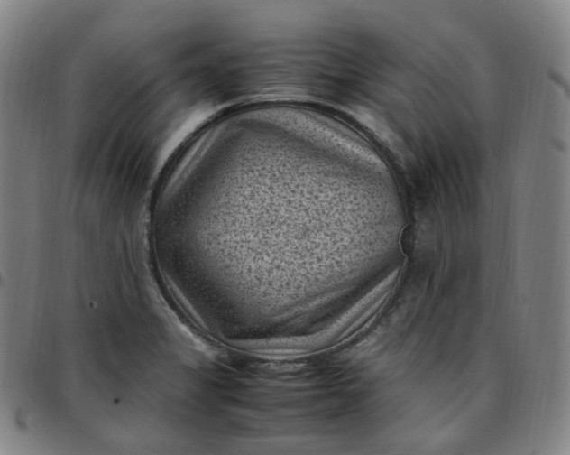 X0000097501325200803071753