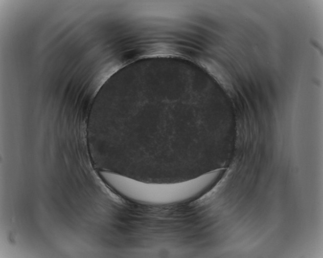X0000097501329200803071753