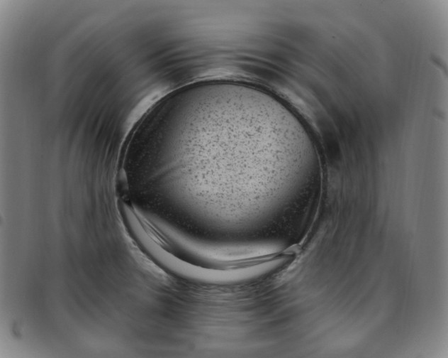 X0000097501330200803071753