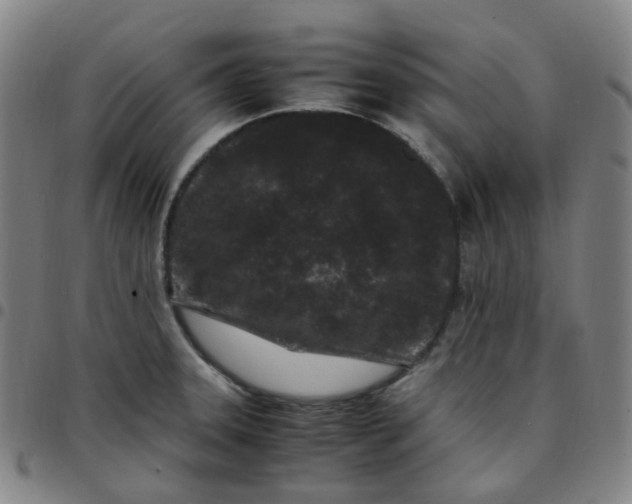 X0000097501331200803071753