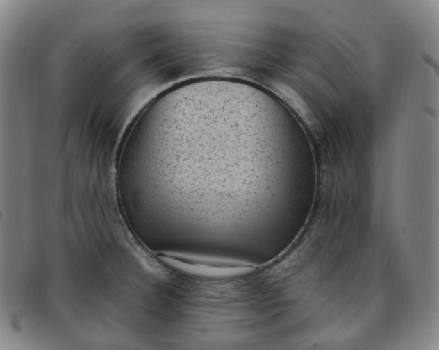X0000097501332200803071753