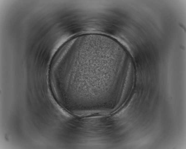 X0000097501333200803071753
