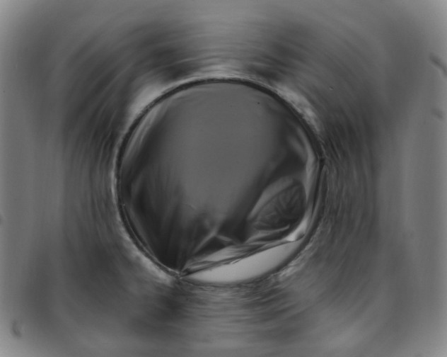 X0000097501334200803071753