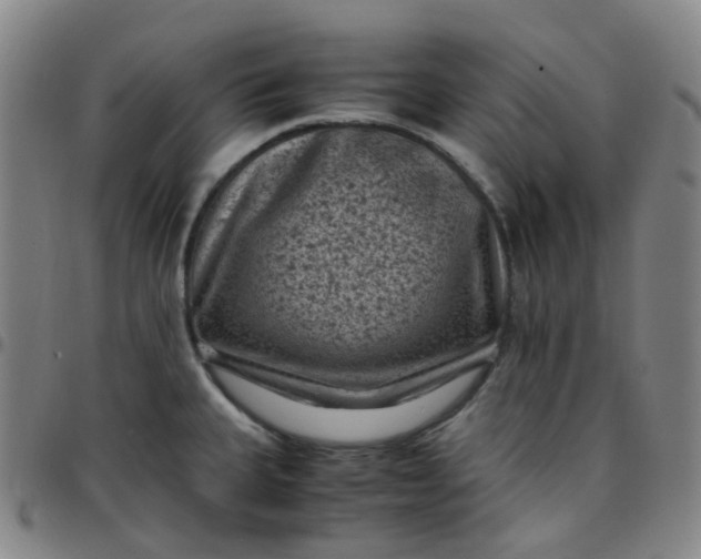 X0000097501335200803071753