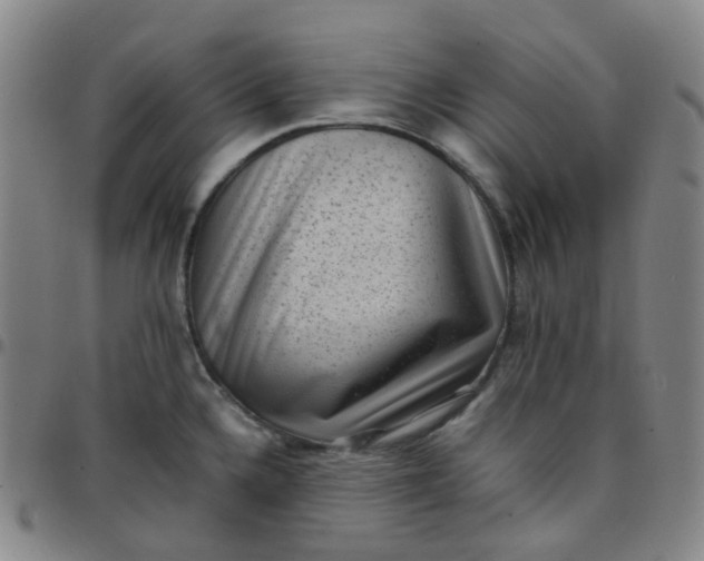 X0000097501336200803071753